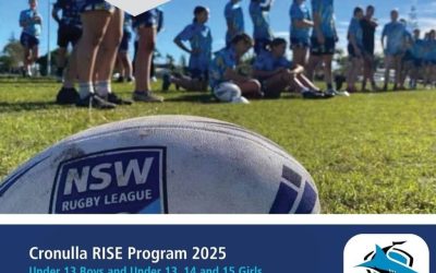 Rise Program 2025